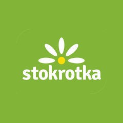 Stokrotka